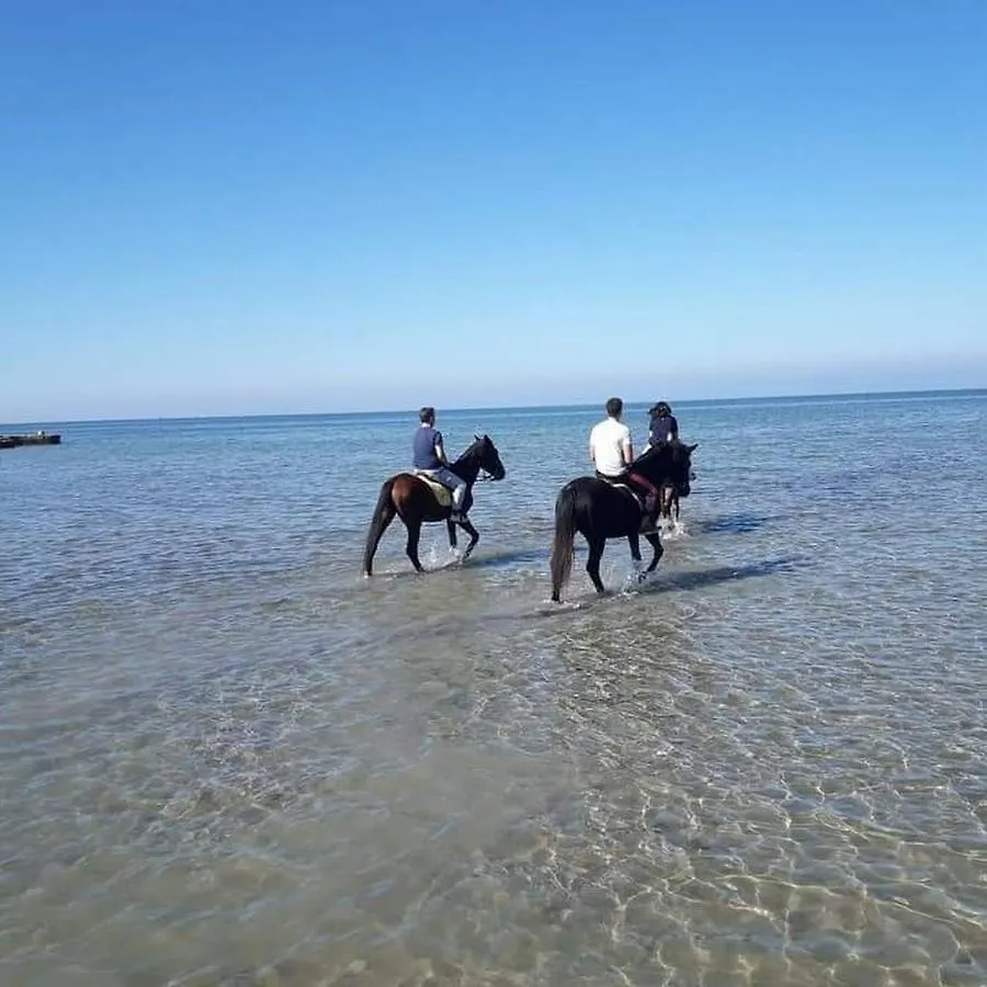 Kite House Marsala Stagnone Bed & Breakfast